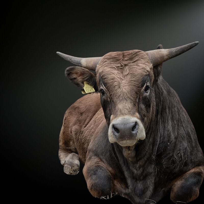 Obrak