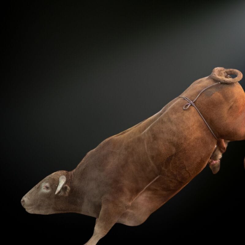 Repülő